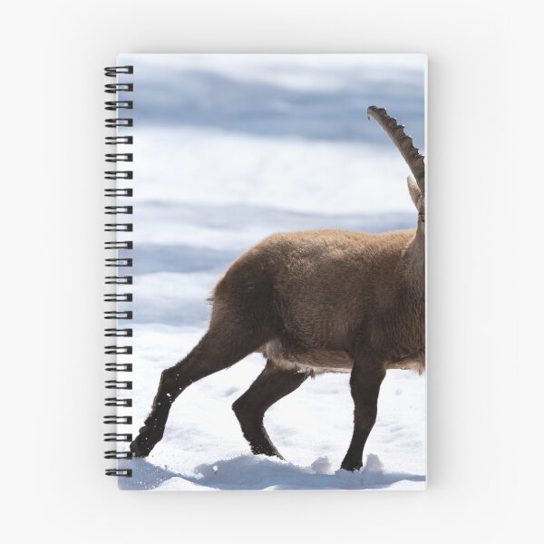 Item preview, Alpine ibex designed and sold by sandrosprecher.