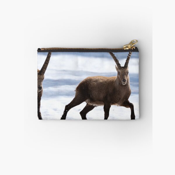 Item preview, Alpine ibex designed and sold by sandrosprecher.