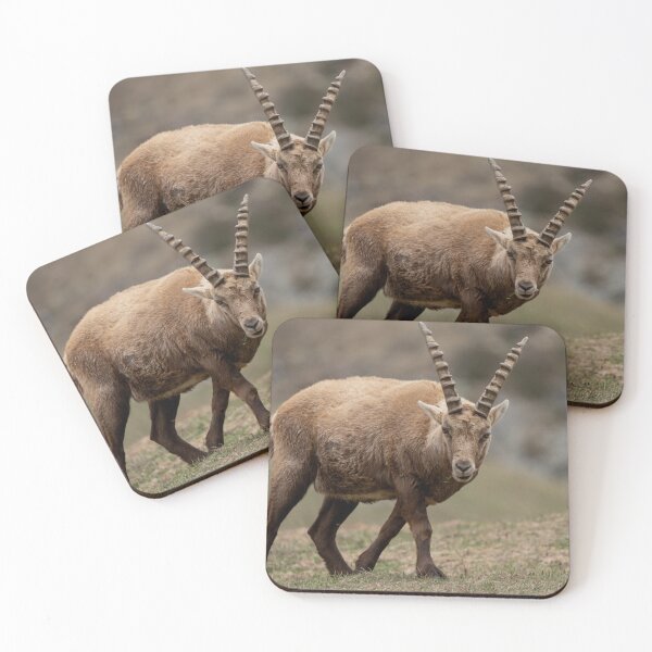 Item preview, Alpine ibex designed and sold by sandrosprecher.