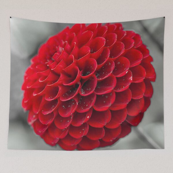 Item preview, Nature's Jewel designed and sold by assaf.