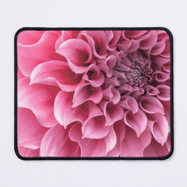 Item preview, Dahlia flower designed and sold by assaf.