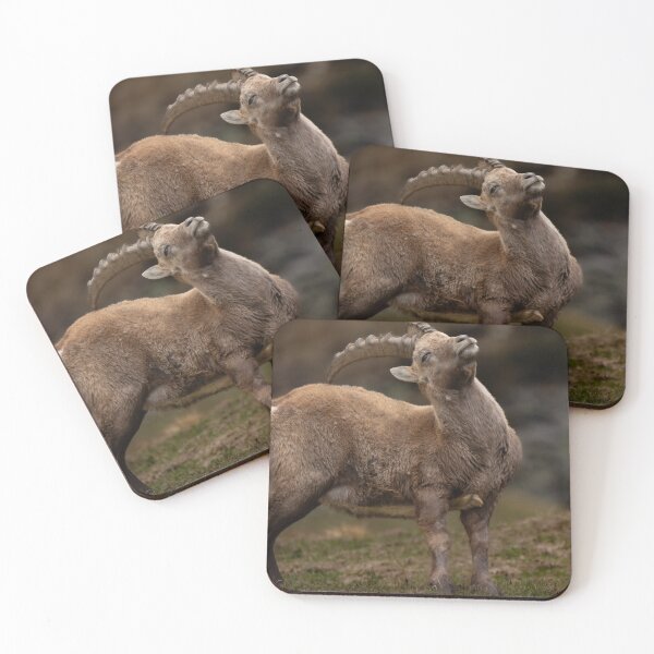 Item preview, Alpine ibex designed and sold by sandrosprecher.