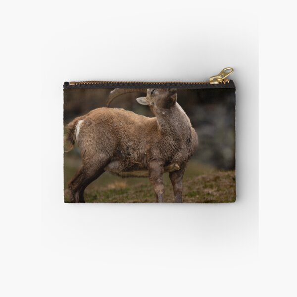 Item preview, Alpine ibex designed and sold by sandrosprecher.