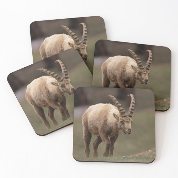 Item preview, Alpine ibex designed and sold by sandrosprecher.