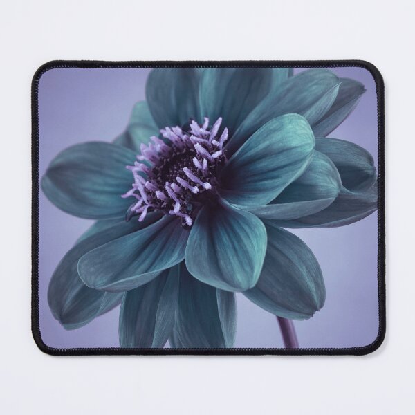 Item preview, Dahlia flower designed and sold by assaf.