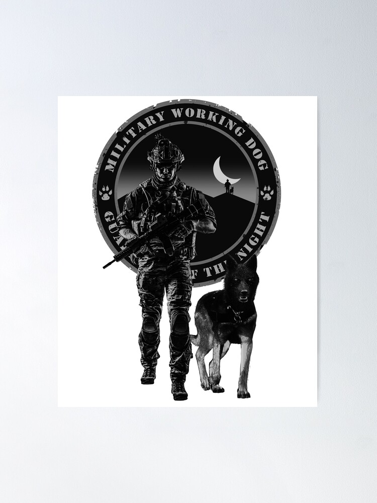 Military Working Dogs: Guardians of the Night, Article