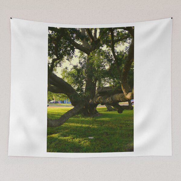 Item preview, Huge Live Oak Tree designed and sold by MercerImages.