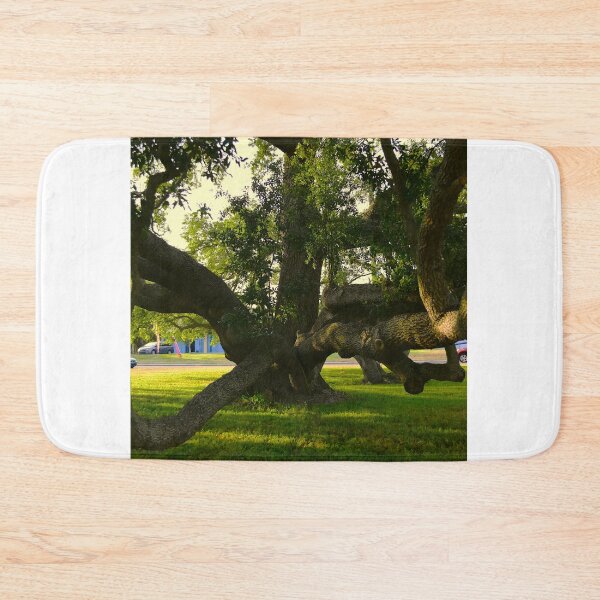 Item preview, Huge Live Oak Tree designed and sold by MercerImages.