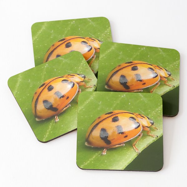 Item preview, Lady Beetle or Lady bug designed and sold by Jenny  Dyer.