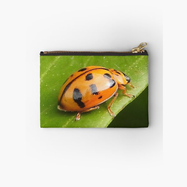Item preview, Lady Beetle or Lady bug designed and sold by Jenny  Dyer.