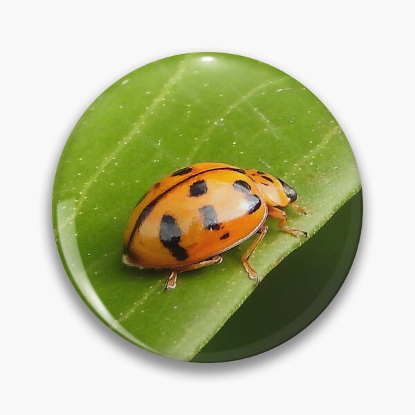 Item preview, Lady Beetle or Lady bug designed and sold by Jenny  Dyer.