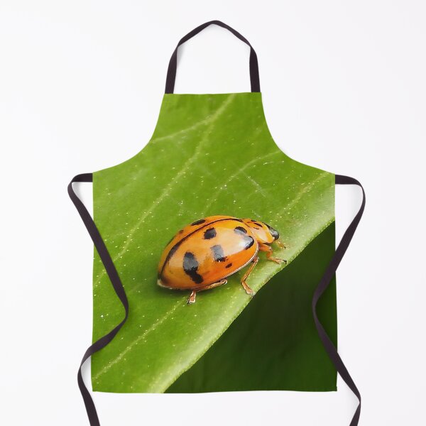 Item preview, Lady Beetle or Lady bug designed and sold by Jenny  Dyer.