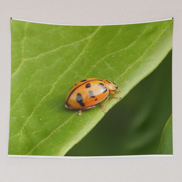 Item preview, Lady Beetle or Lady bug designed and sold by Jenny  Dyer.