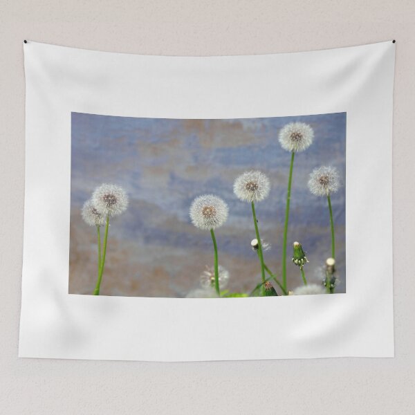 Item preview, White dandelions on blue wall background designed and sold by olena2552.