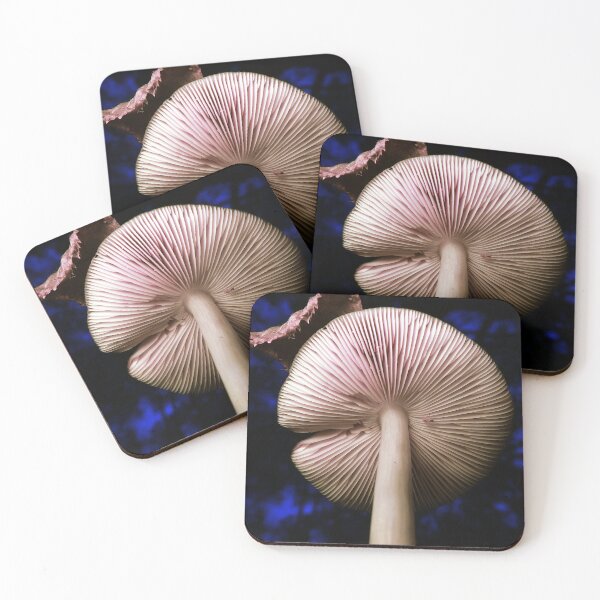 Item preview, Fungus with a Hat designed and sold by KaSaPo.