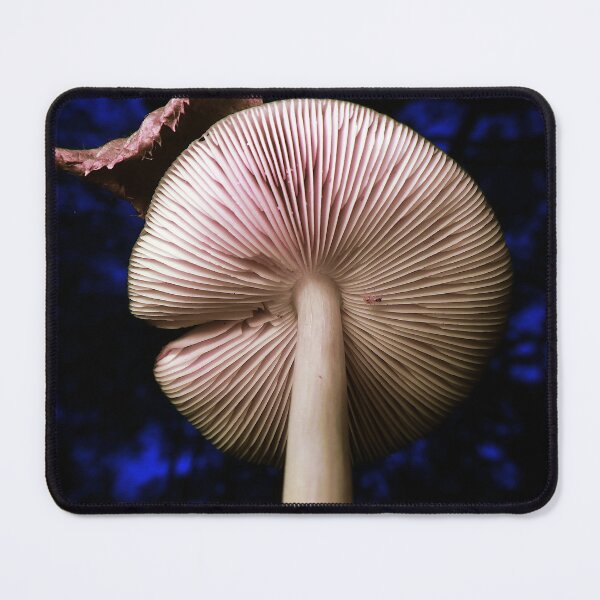 Item preview, Fungus with a Hat designed and sold by KaSaPo.