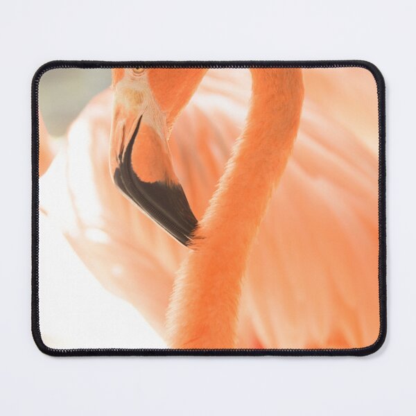 Item preview, Curadise Flamingo #1 #flamingo #wall #art designed and sold by Anita's & Bella's Art.