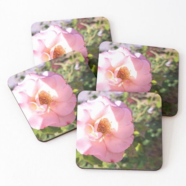 Item preview, Beautiful  color rose  in the garden designed and sold by sadeek1021953Ss.
