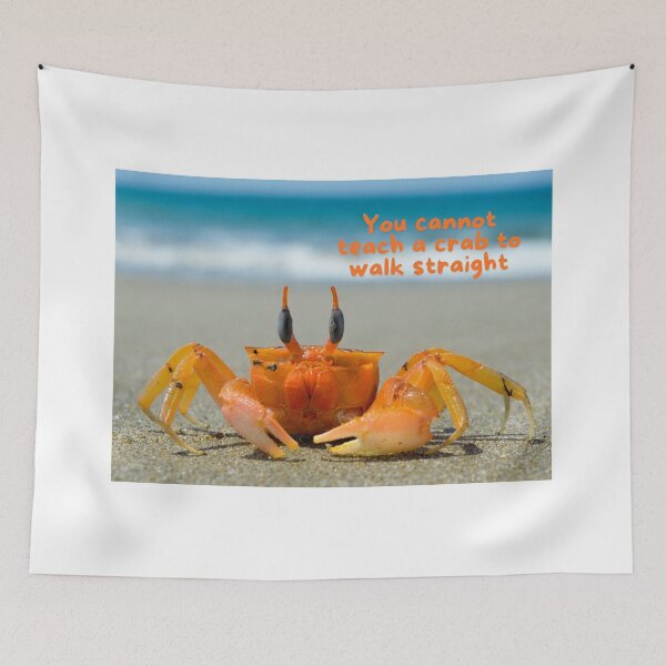 Item preview, You cannot teach a crab to walk straight designed and sold by Einsteinshop.