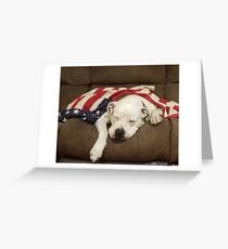 dog Greeting Card