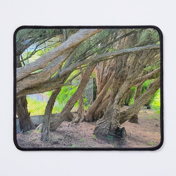 Item preview, abstract art in nature designed and sold by Tereza Pilar Art.
