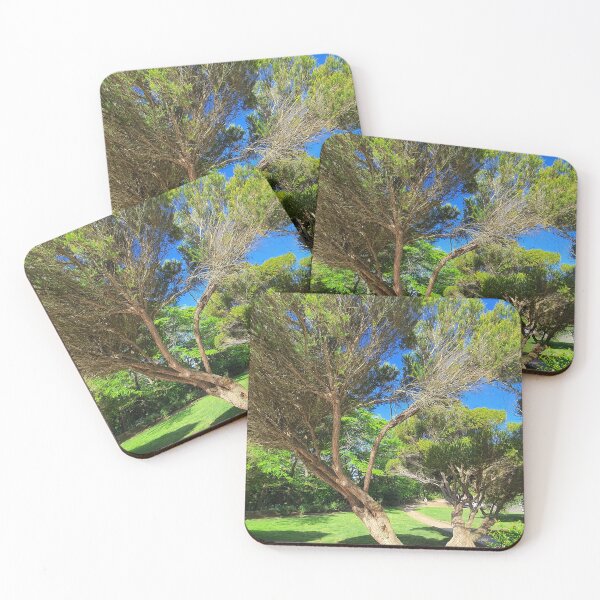 Item preview, garden designed and sold by Tereza Pilar  Art.