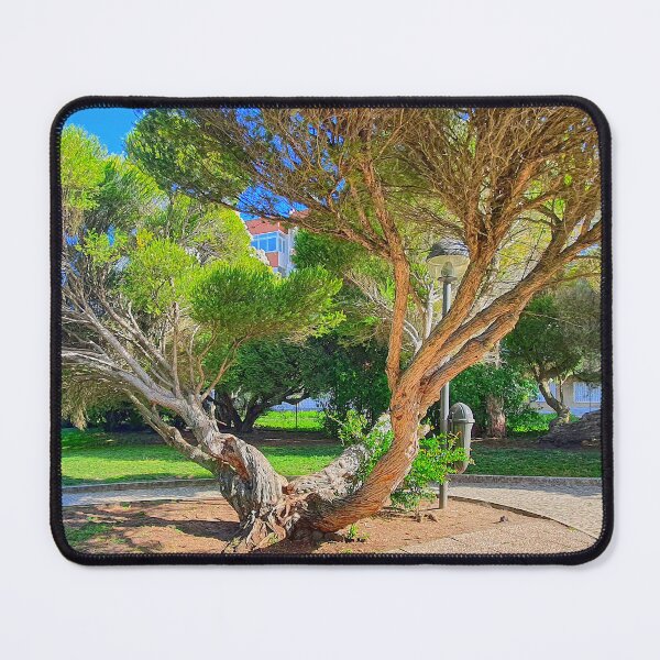 Item preview, Jardim Bernardo Santareno designed and sold by Tereza Pilar Art.