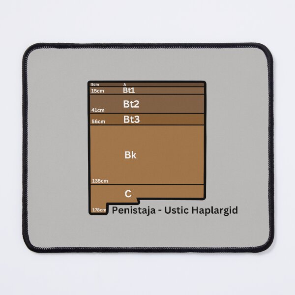 Item preview, New Mexico State Soil- Penistaja designed and sold by Cat00Tome.
