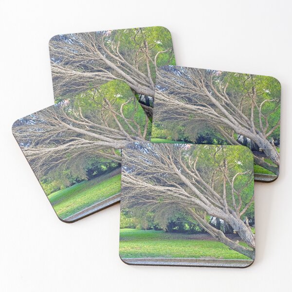 Item preview, garden designed and sold by Tereza Pilar  Art.