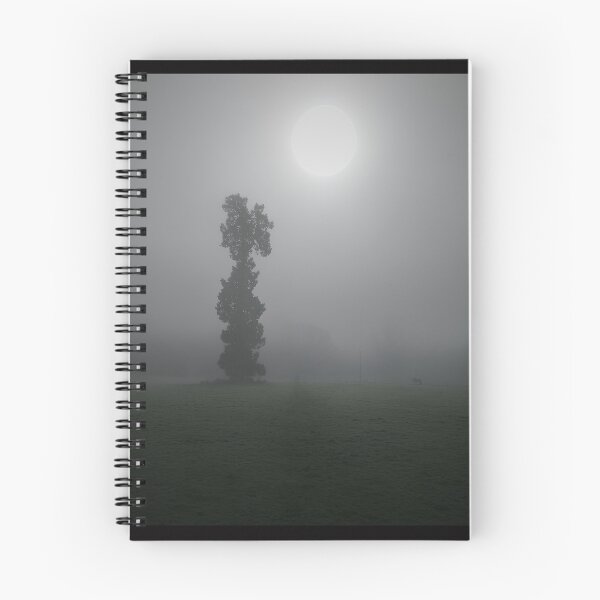 Item preview, Misty Day in the Woods | Creepy Forest Dreamscape designed and sold by LiminalLane.