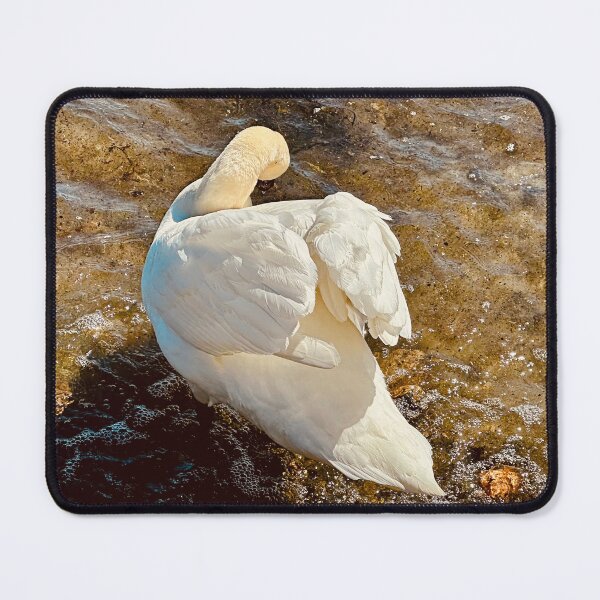 Item preview, Drying the feathers designed and sold by Ruth Curtis.