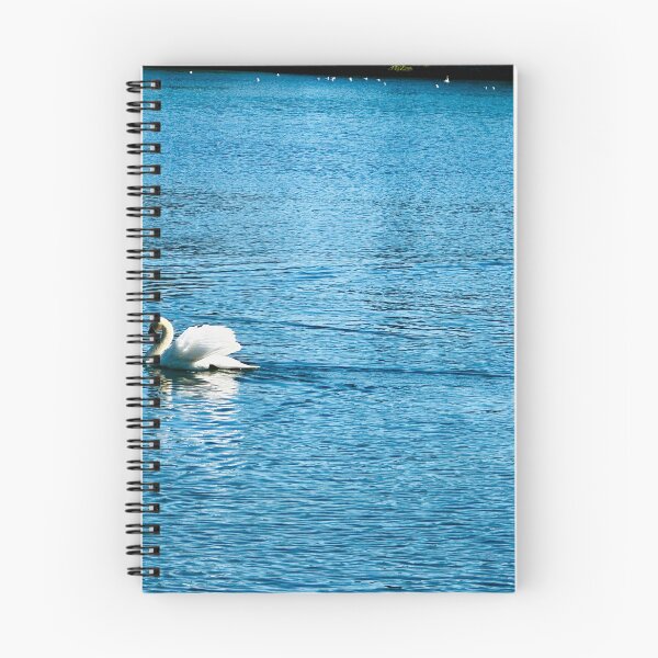 Item preview, Swan reflection designed and sold by Ruth Curtis.