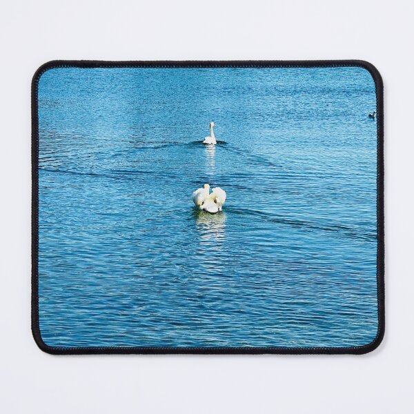 Item preview, Swans swimming away designed and sold by Ruth Curtis.