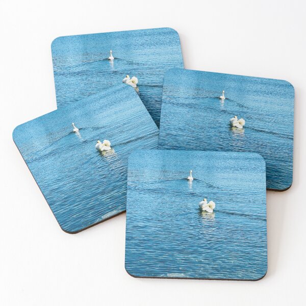 Item preview, Two swans swimming away designed and sold by Ruth Curtis.