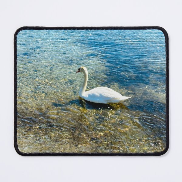 Item preview, Swan in shallow waters designed and sold by Ruth Curtis.