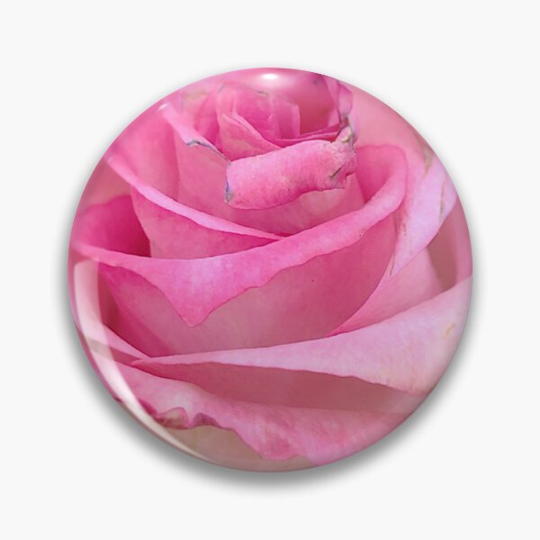 Item preview, Rosa rosa macro designed and sold by Lisa Pearlman.