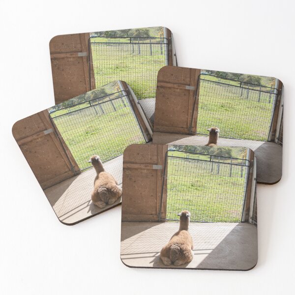 Item preview, Alpacas at Kickin' Back 7 designed and sold by jrtwynam.
