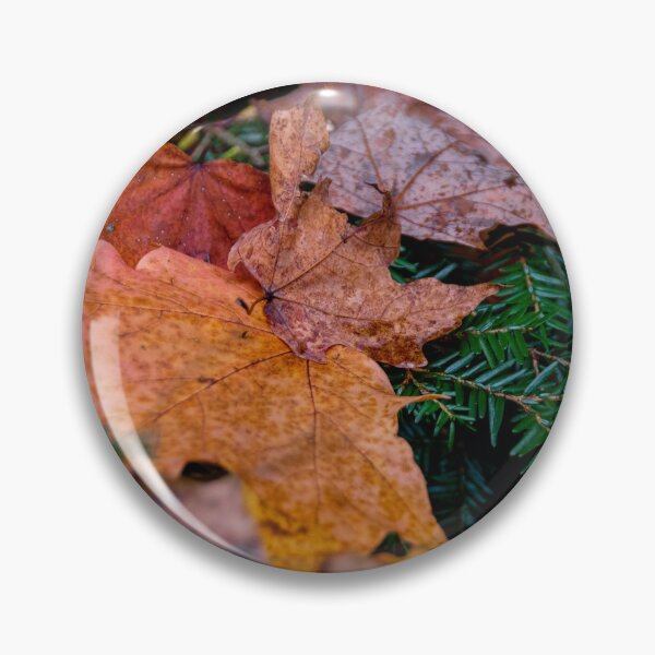 Item preview, Pile of Autumn Leaves Rests on an Evergreen Tree designed and sold by jrtwynam.