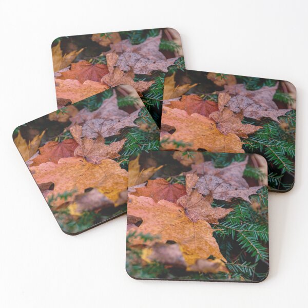 Item preview, Pile of Autumn Leaves Rests on an Evergreen Tree designed and sold by jrtwynam.