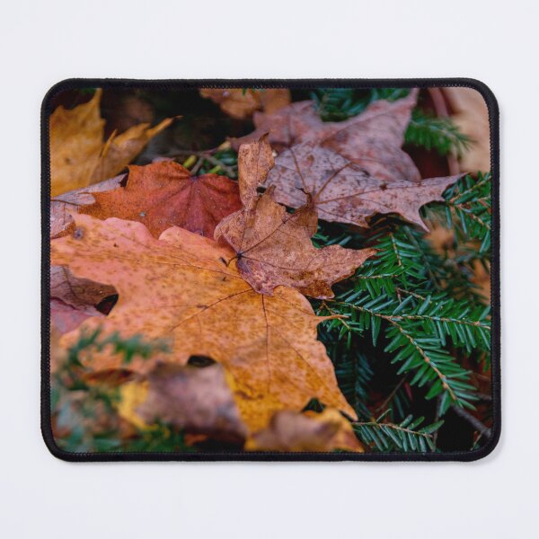 Item preview, Pile of Autumn Leaves Rests on an Evergreen Tree designed and sold by jrtwynam.