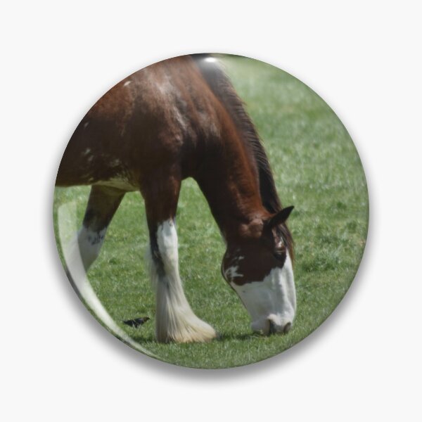 Item preview, Clydesdale Horse designed and sold by MarieDarcy97.