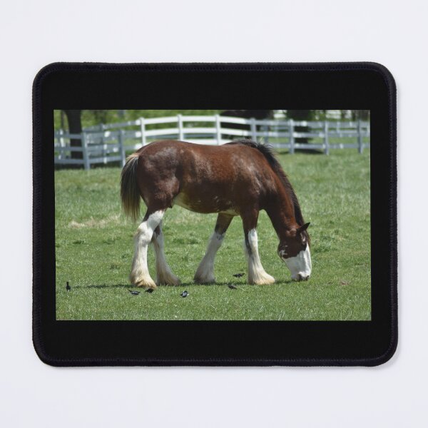 Item preview, Clydesdale Horse designed and sold by MarieDarcy97.