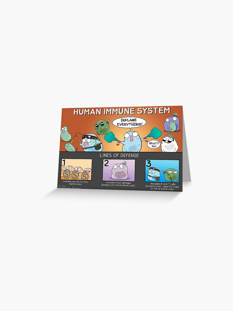 Thumbnail 1 of 2, Greeting Card, Human Immune System designed and sold by amoebasisters.