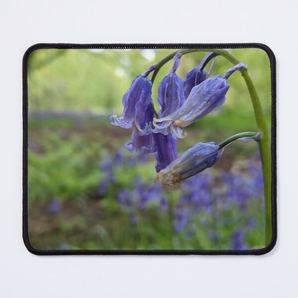 Item preview, Bluebells designed and sold by Spaceman-Atom.
