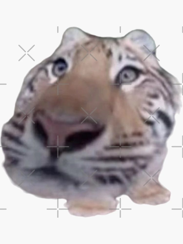 Funny Tiger Funny Meme