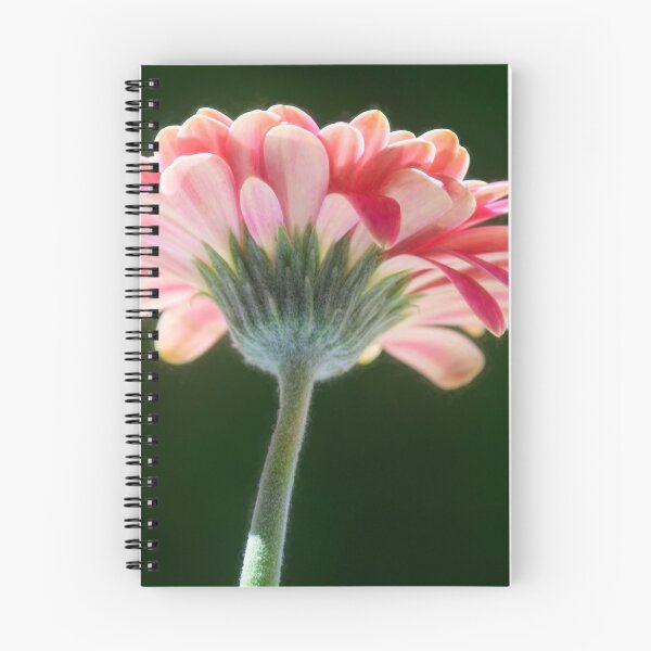 Item preview, Gerbera flower designed and sold by CameliaC.