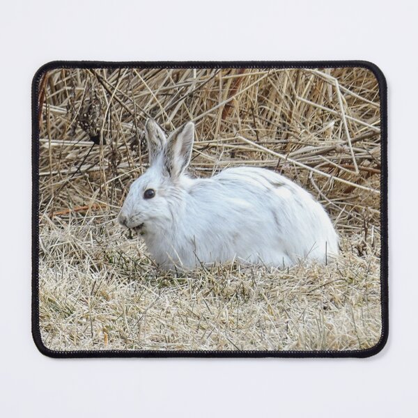 Item preview, Just hopped out for a bite to eat designed and sold by Jessica Osborn.