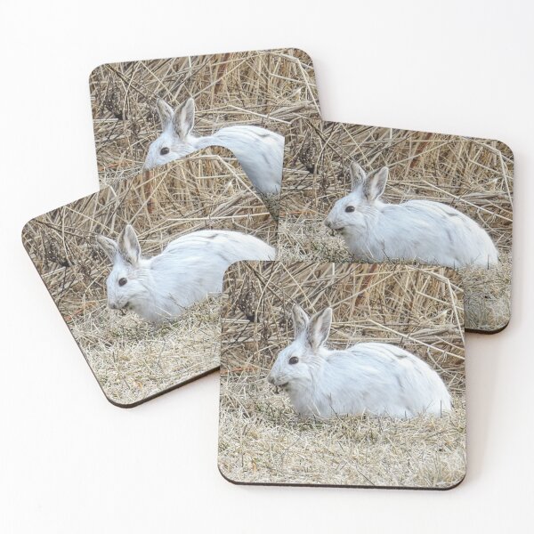 Item preview, Just hopped out for a bite to eat designed and sold by Jessica Osborn.