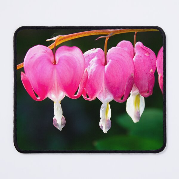 Item preview, BLEEDING HEARTS designed and sold by adumont1.