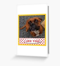 I Like You! Greeting Card
